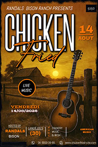 chicken fried